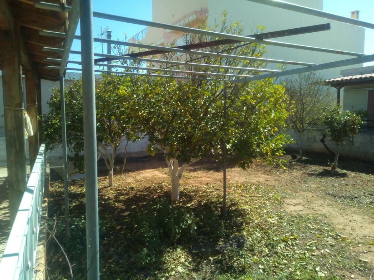 Vangelis House Near Athens Airport Αρτέμιδα Εξωτερικό φωτογραφία