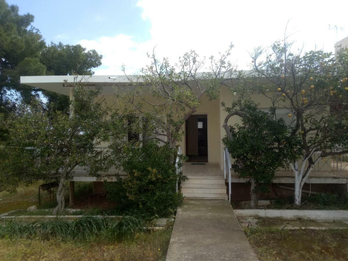 Vangelis House Near Athens Airport Αρτέμιδα Εξωτερικό φωτογραφία