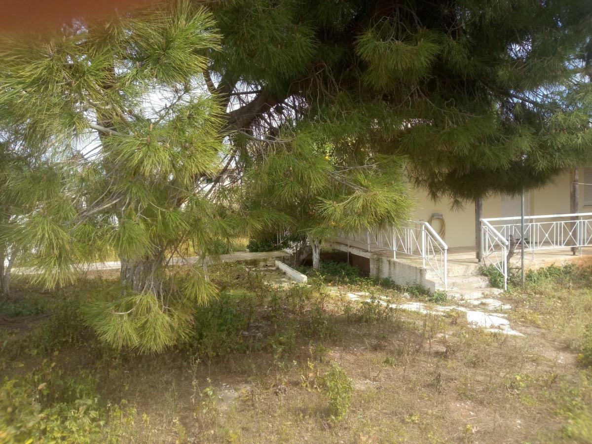 Vangelis House Near Athens Airport Αρτέμιδα Εξωτερικό φωτογραφία